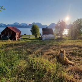 Basecamp Djupvik, Lyngen alps panorama，位于Engnes的酒店