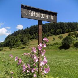 Hotel-Restaurant Kohlenbacher-Hof，位于瓦尔德基尔希的酒店