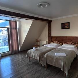 Mestiatour Guest House，位于梅斯蒂亚的酒店