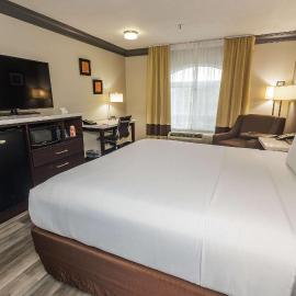 Comfort Inn & Suites Near Universal - N Hollywood - Burbank,位于洛杉矶的酒店