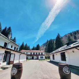 Pensiunea Rhein，位于阿祖加的酒店