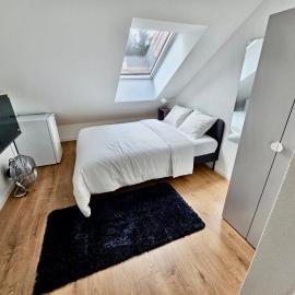 Private & Shared Stays in Lausanne，位于洛桑的酒店