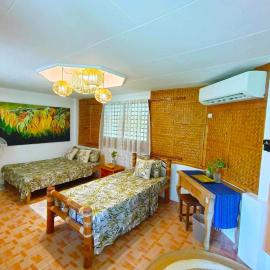 Ragara Beach Resort - Ylang Ylang ll，位于Calintaan的酒店