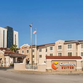 Comfort Suites Downtown，位于奥兰多的酒店