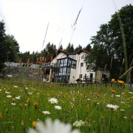Gastinger Hotel-Restaurant，位于伦斯泰格地区施米德费尔德的酒店