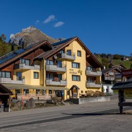 Hotel Restaurant Schönau，位于维尔德豪斯的酒店