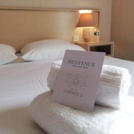 Logis Hôtel Restaurant Bar du Commerce - Maison Robin,位于Tronget的酒店