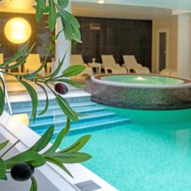 Wellton Centrum Hotel & SPA，位于里加的酒店