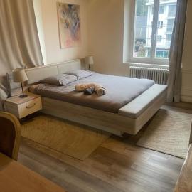 BLISS Basel Residence，位于巴塞尔的酒店