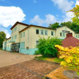 Meister BÄR HOTEL Vogtland，位于赖兴巴伊姆福格特兰的酒店