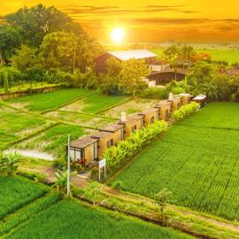 Wander Havens Digital Nomad Tiny Houses，位于坎古的酒店