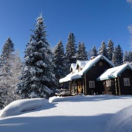 Domaine le Bostonnais - Le Village en Bois Rond，位于拉图克的酒店