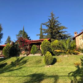 Cabañas villa de San Miguel，位于瓦斯卡坎波的酒店