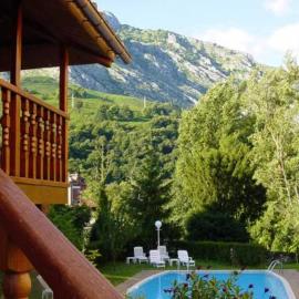 Hotel Picos de Europa，位于阿里纳斯·德·卡伯瑞勒斯的酒店