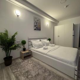Relax House Apartments，位于克拉约瓦的酒店
