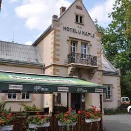 Hotel U Kaple，位于德辛的酒店