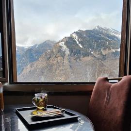 Boutique B&B La Quiete del Bosco - A Plant-Based Stay，位于Mesocco的酒店
