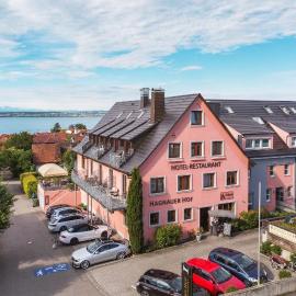 Hotel Hagnauer Hof mit klimatisierten Zimmern，位于哈格瑙的酒店