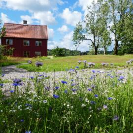 Brålands Farm - fish & family friendly in nature reserve - Apartment nr 1 Öringen，位于蒙克达尔的酒店