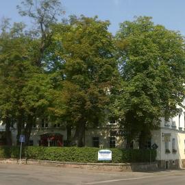 Hotel Weiße Taube，位于德伯尔恩的酒店