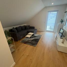 Neubau Donaublickapartment 2，位于Sinzing的酒店