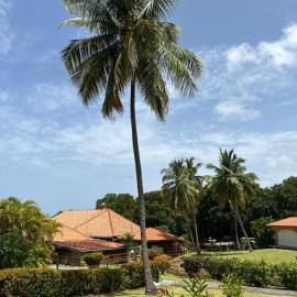 Studio Oiseau du Paradis，位于圣安娜的酒店