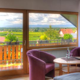 Bio Hotel Haus am Weinberg，位于Achkarren的酒店