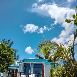 Bungalow les pieds ds l eau, La Maison Bleue，位于莫雷阿的酒店