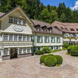 Waldhotel Bad Sulzburg，位于苏尔茨堡的酒店