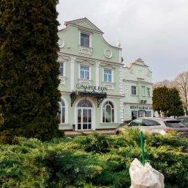 Hotel Napoleon,位于Wróblew的酒店