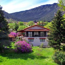 Villa Arcadia