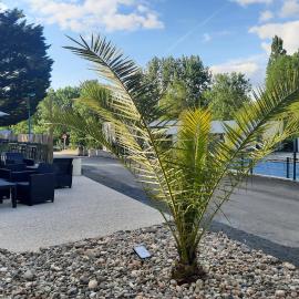 Camping Le Moulin des Effres，位于Secondigny的酒店