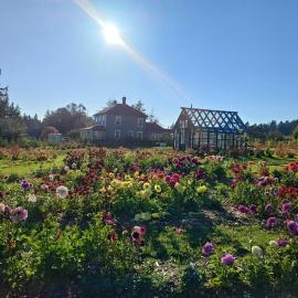 Woodside Farm Country Inn，位于苏克的酒店