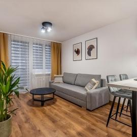 Apartament w centrum II, PW INVEST HOME，位于肯杰任科兹莱的酒店