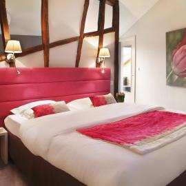 Auberge Bressane de Buellas，位于Buellas的酒店