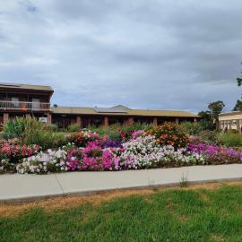 Hills of Gold Motel at Nundle，位于Nundle的酒店