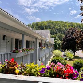Main Street Motel，位于鱼溪的酒店