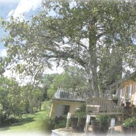 Maison et table d'hôtes du Vert Vallon，位于Theizé的酒店