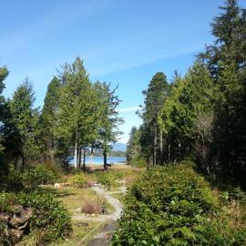 C&N Backpackers - Ucluelet，位于尤克卢利特的酒店