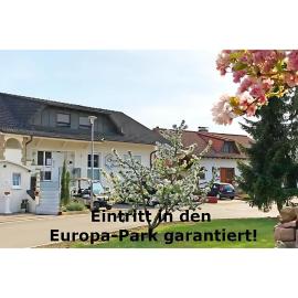 Gästehaus Elzblick，位于鲁斯特的酒店
