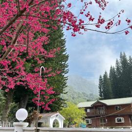 南苑莊園 NanYuan Resort Manor，位于南庄乡的酒店