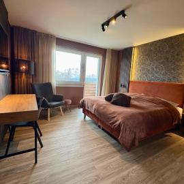 Berghotel Hohegeiß,位于霍盖思的酒店