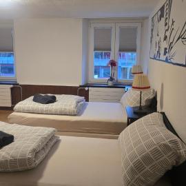 Muhusin Apartments Trimbach，位于特林巴赫的酒店