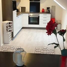 Ferienwohnung an der Mosel, Romeo