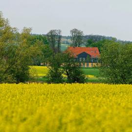 Landhaus Heidekrug,位于希尔德斯海姆的酒店