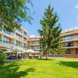 Abacus Business & Wellness Hotel，位于海尔采高洛姆的酒店