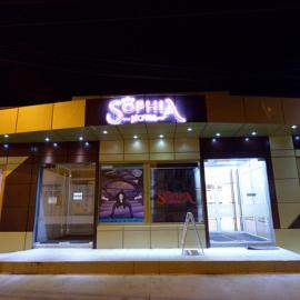 Hotel Sophia，位于Tecuci的酒店