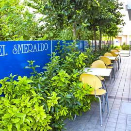 Hotel Smeraldo，位于托尔托雷托的酒店