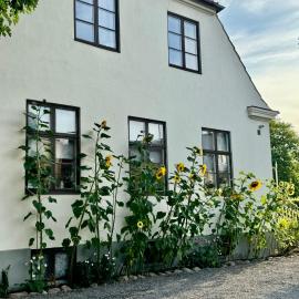 STF Landskrona Hostel，位于兰斯克鲁纳的酒店