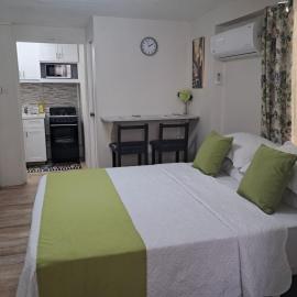 Michand Guest Apartments- Cozy one or two bedroom- 5 walk minutes from airport 10 mins drive to Oistins or beach，位于基督教堂市的酒店
